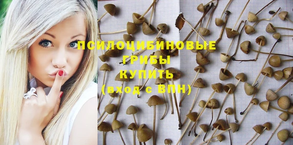 хмурый Михайлов